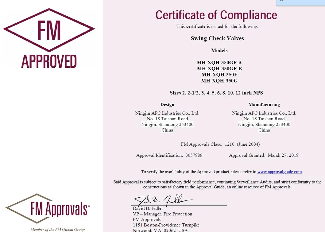 10′′ DN250 Fire Fighting Equipment FM UL Approved 350psi Swing Check Valve with Grooved End