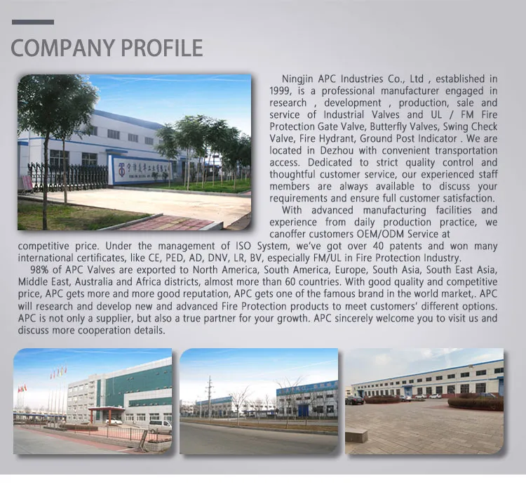 10′′ DN250 Fire Fighting Equipment FM UL Approved 350psi Swing Check Valve with Grooved End