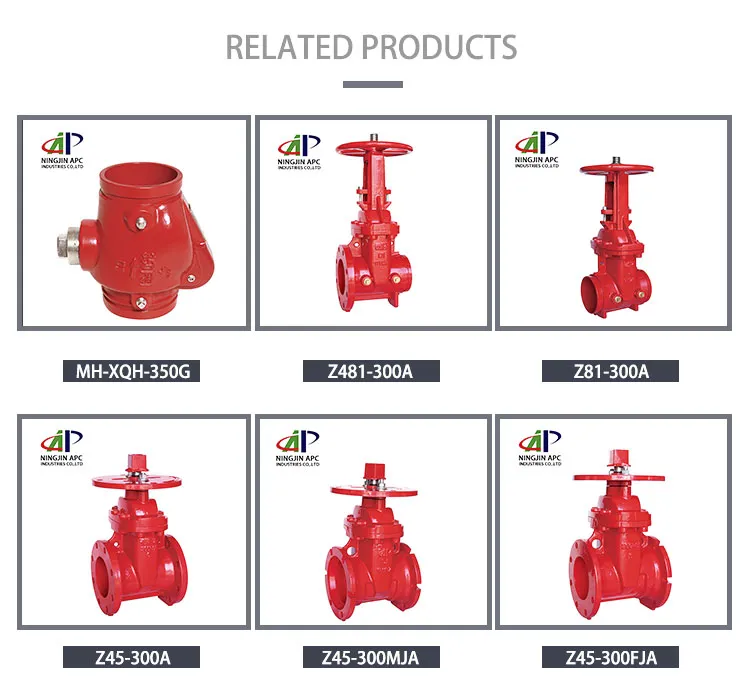 10′′ DN250 Fire Fighting Equipment FM UL Approved 350psi Swing Check Valve with Grooved End