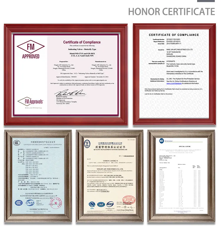 10′′ DN250 Fire Fighting Equipment FM UL Approved 350psi Swing Check Valve with Grooved End