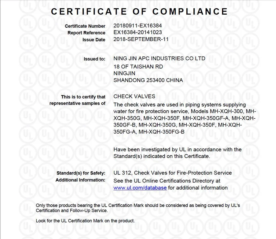 10′′ DN250 Fire Fighting Equipment FM UL Approved 350psi Swing Check Valve with Grooved End