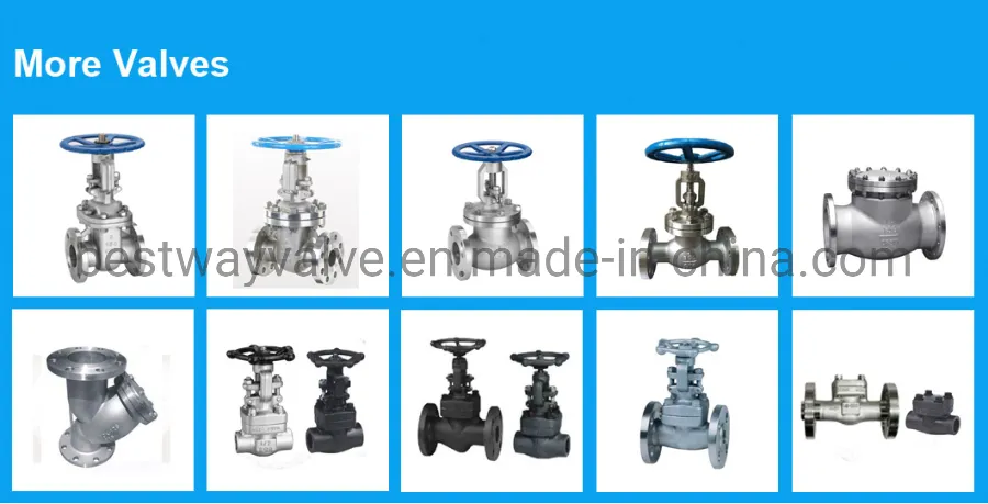 1000psi/1000wog 304 316 Fnpt Threaded/Screwed 3PC Stainless Steel Ball Valve