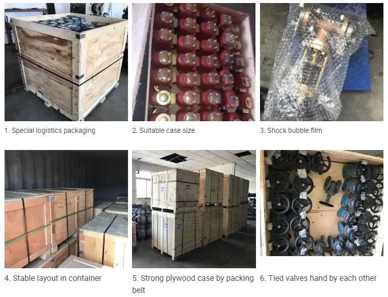 10K JIS F 7319 Cast Steel Globe Valve