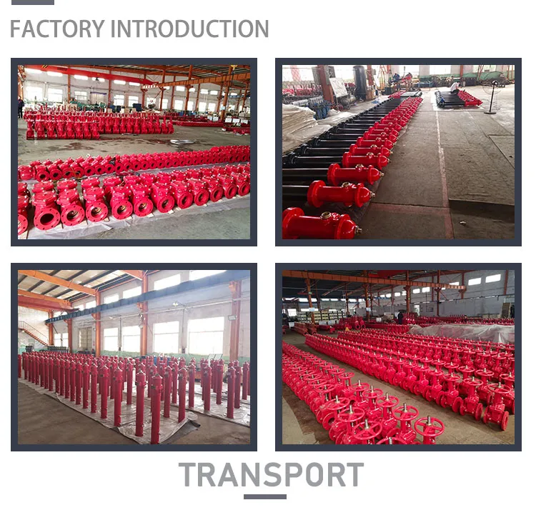 12′′ DN300 Fire Fighting Equipment FM UL Approved 300 Psi Grooved Nrs Gate Valve