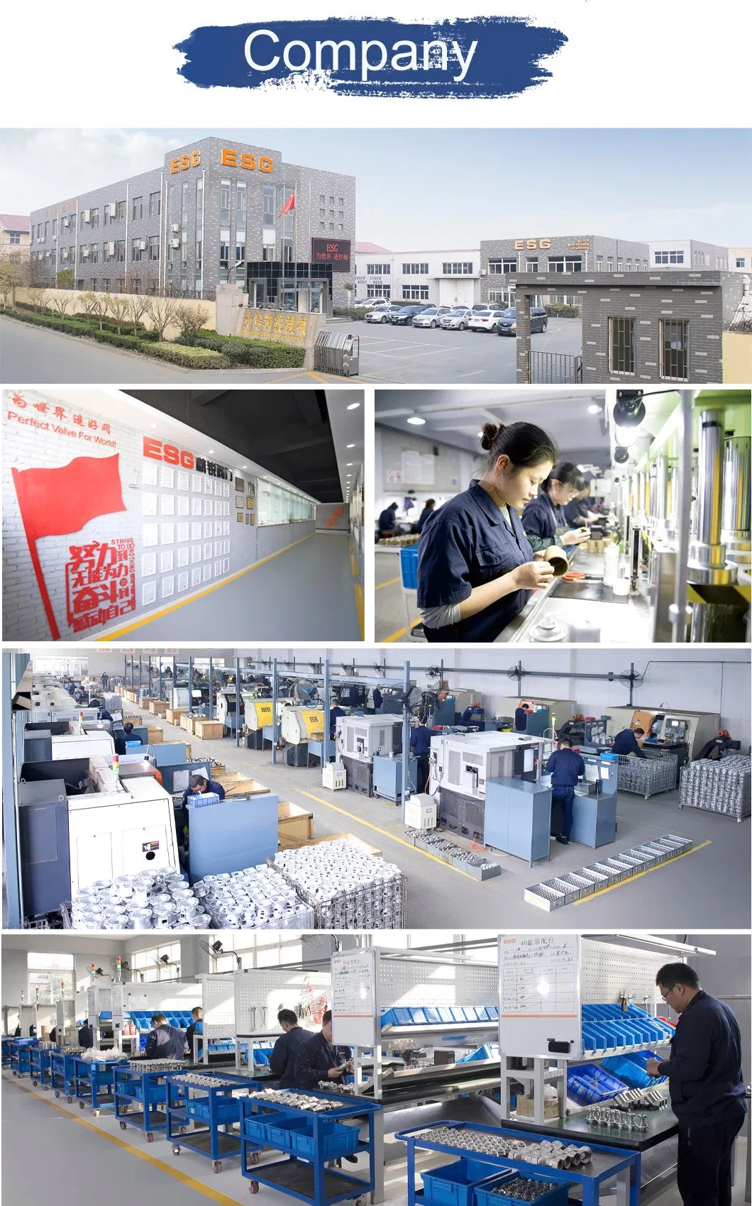 3/4′′ NPT Thermodynamic Steam Trap