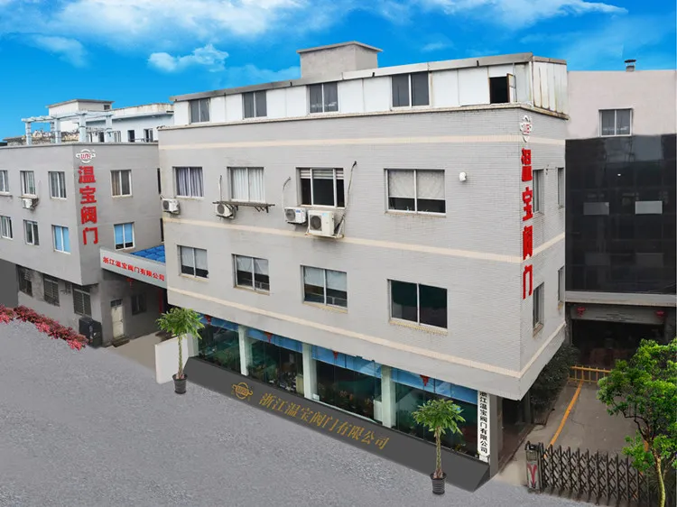 3202-M3 Ss316 CF8m 2-PC Threaded Ball Valve (M/F) with Cap