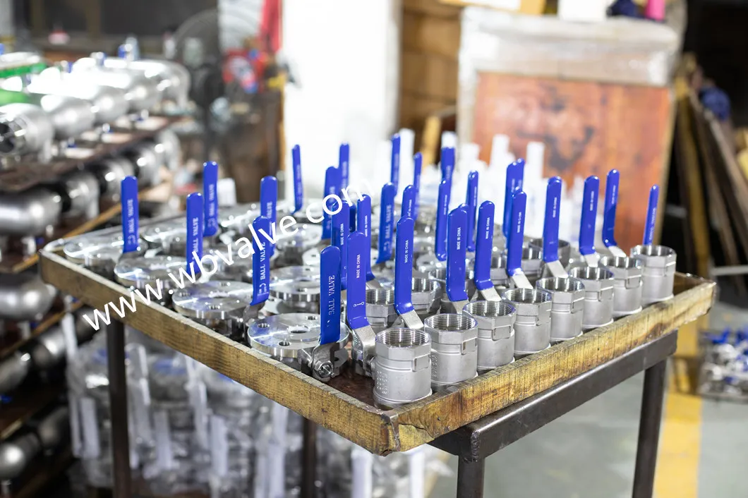 3202-M3 Ss316 CF8m 2-PC Threaded Ball Valve (M/F) with Cap