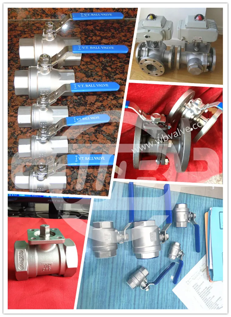 3202-M3 Ss316 CF8m 2-PC Threaded Ball Valve (M/F) with Cap