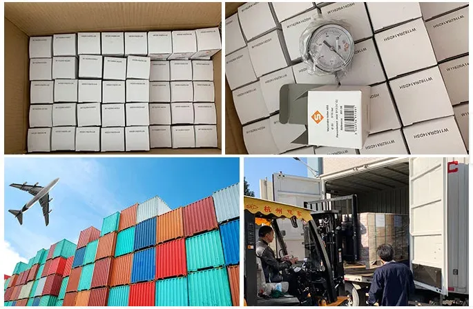 60mm Ordinary Pressure Gauge with Flange/Manometer