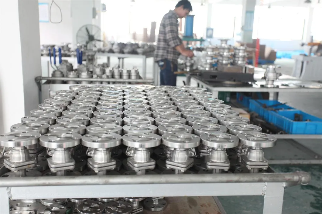 800wog Y Type Check Valve