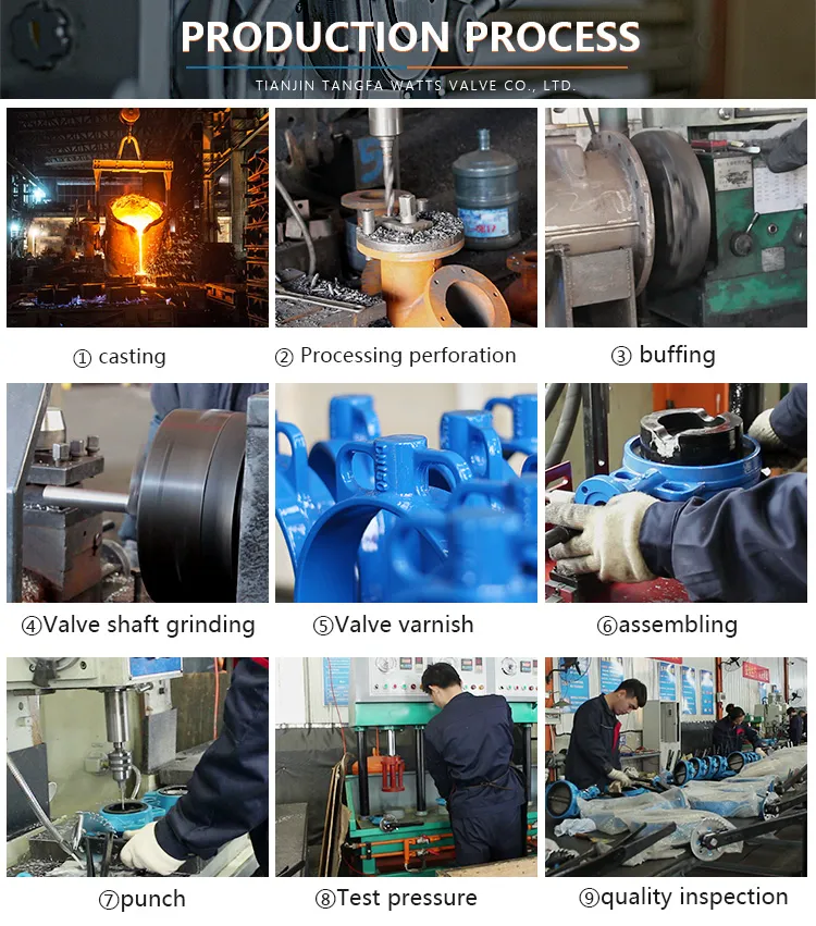 ANSI API CF8 Di Ci EPDM PTFE Strong Acid Ductile Iron Lever Opreated Wafer Lug Butterfly Valve China Suppliers