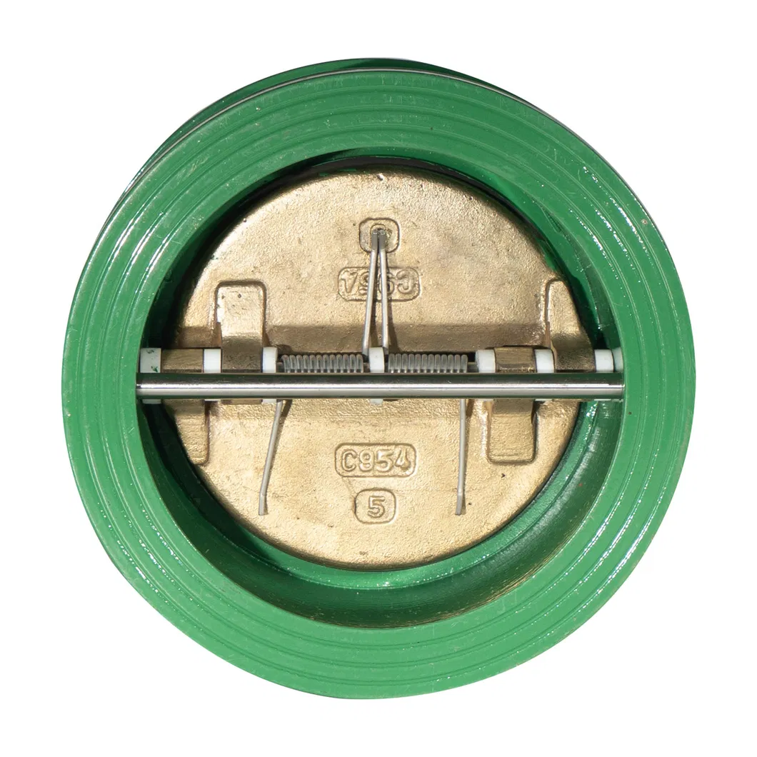 ANSI/ En1092/ JIS 10K/ BS 4504 Butterfly Check Valve for Drainage