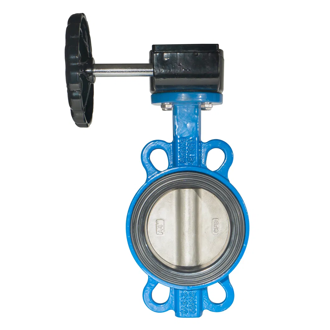 ANSI/ En1092/ JIS 10K/ BS 4504 Butterfly Check Valve for Drainage