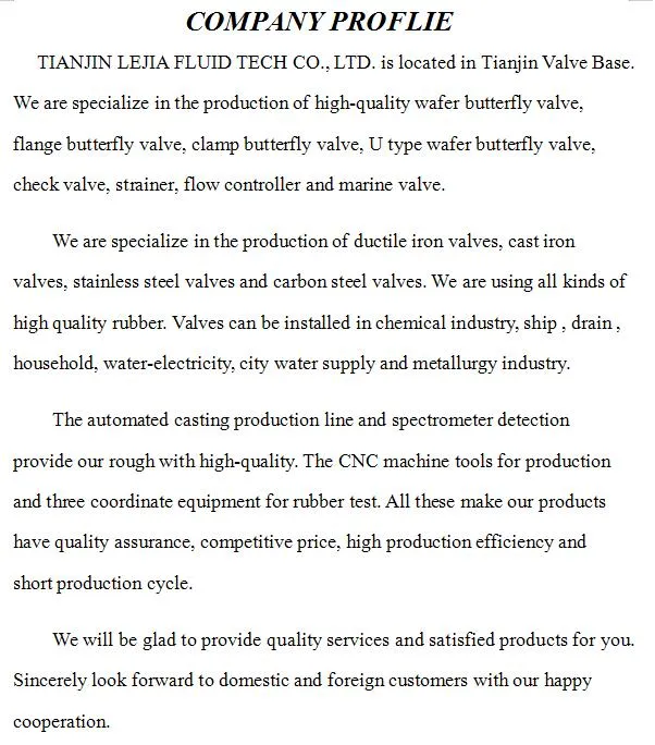 ANSI/ En1092/ JIS 10K/ BS 4504 Butterfly Check Valve for Drainage