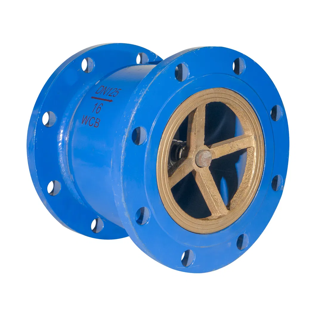 ANSI/ En1092/ JIS 10K/ BS 4504 Butterfly Check Valve for Drainage