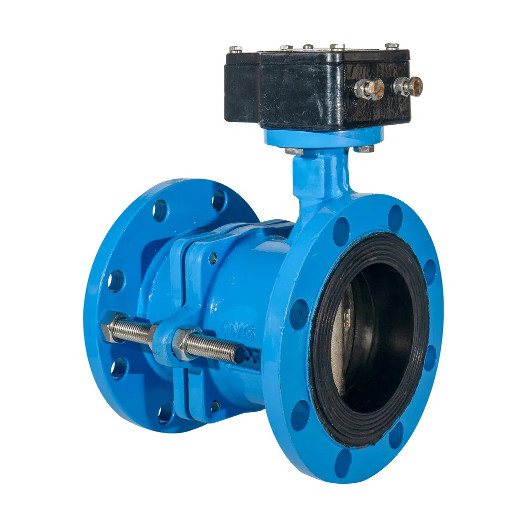 ANSI/ En1092/ JIS 10K/ BS 4504 Butterfly Check Valve for Drainage