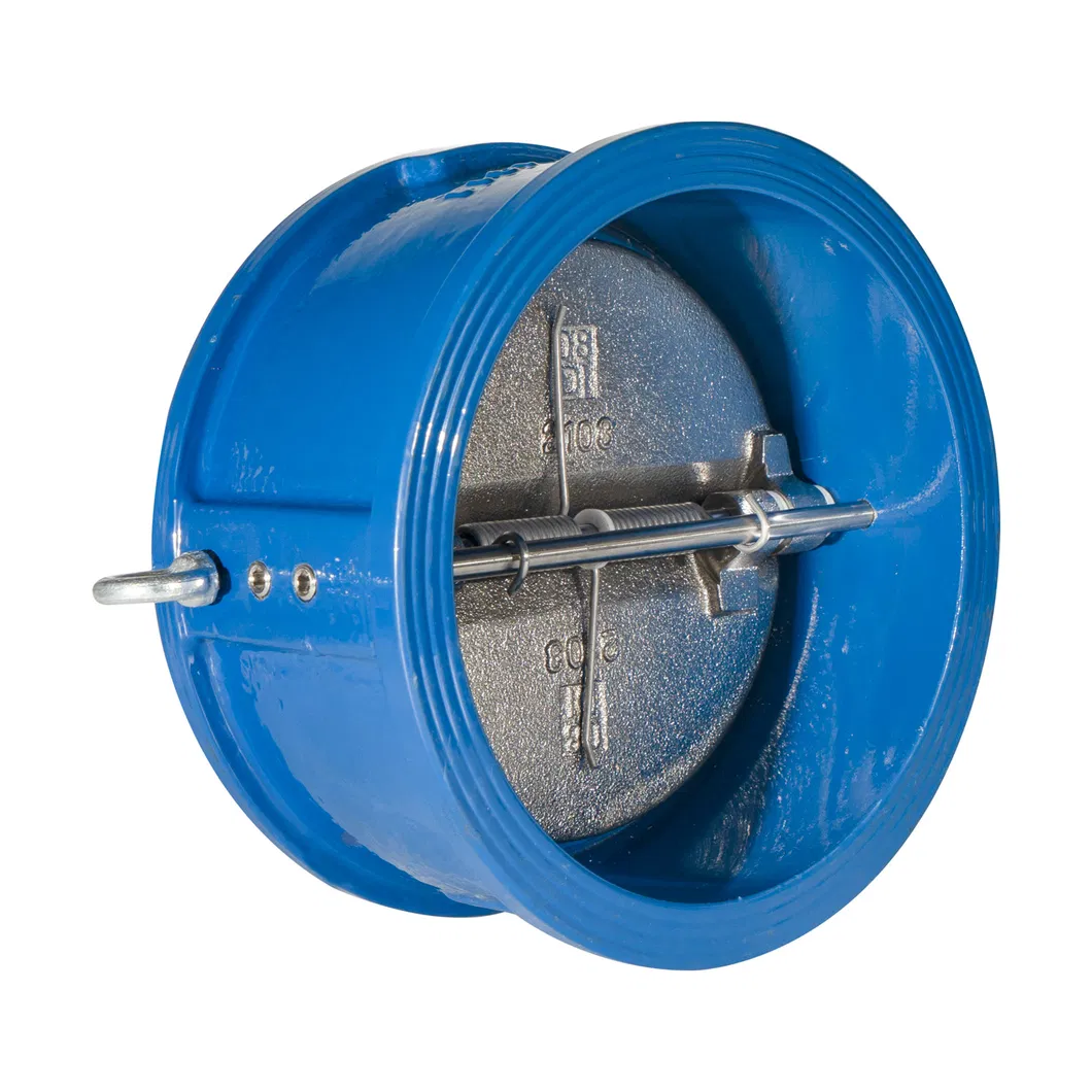 ANSI/ En1092/ JIS 10K/ BS 4504 Butterfly Check Valve for Drainage