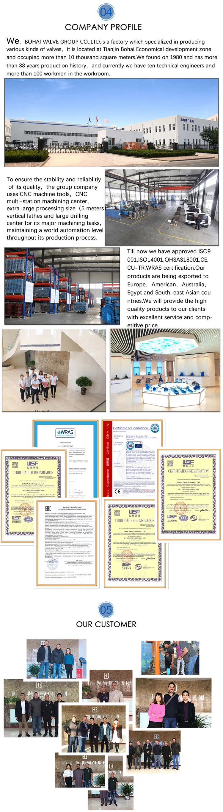 ANSI Non Rising Stem Dn150 Cast Iron Bronze Trim Rubber Gate Valve