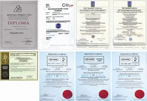 ANSI PTFE Lined Wafer Type Butterfly Valve Manufacturer