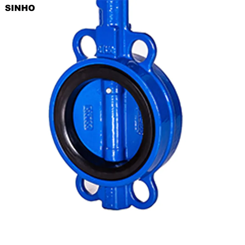 ANSI Standard CF8 Di Ci EPDM PTFE Strong Acid Ductile Iron Lever Opreated Wafer Lug Butterfly Valve