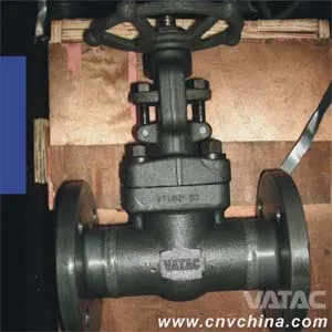 API 602 Forged Steel Gate Valve