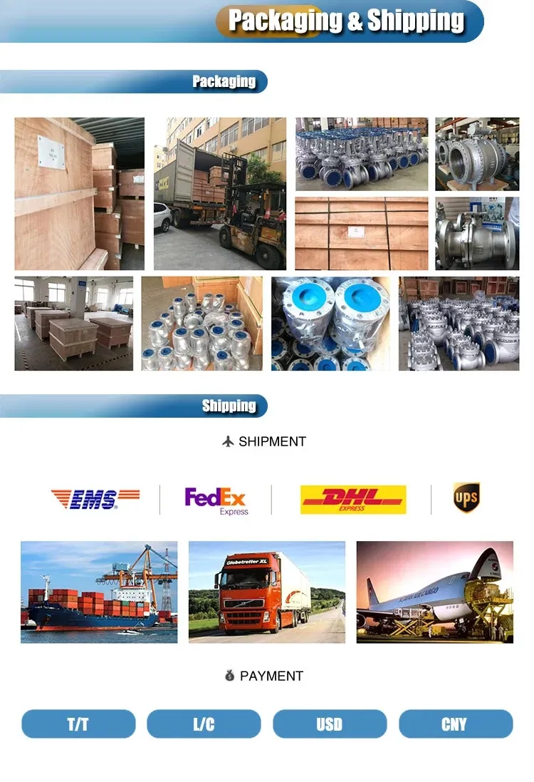 API 6A Hydraulic Gate Valves