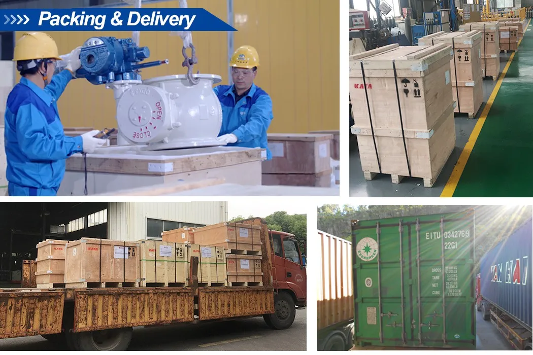 API 6D Forged Stainless Steel F316 Full Bore Flange Ends Trunnion Mounted Ball Valve