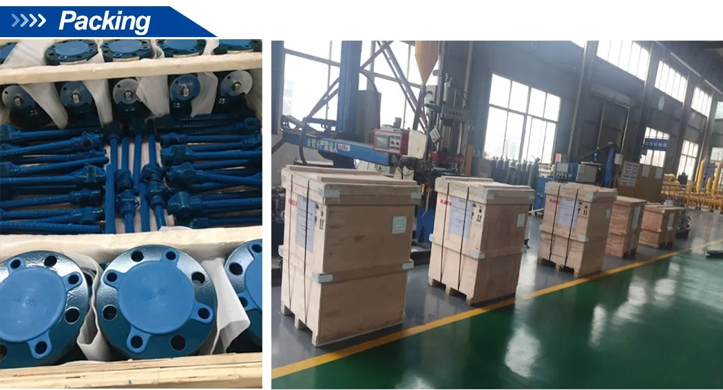 API 6D Forged Stainless Steel F316 Full Bore Flange Ends Trunnion Mounted Ball Valve