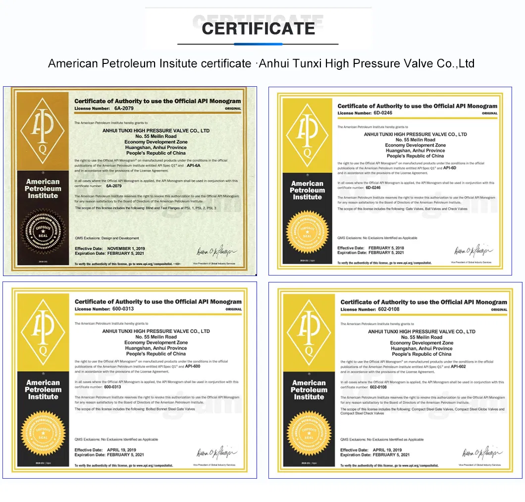 API ANSI DIN GB Standard Professional Industrial Valve Manufacturer Forged Steel DN25-50 300lb A105n/F304/F316L Globe Valve