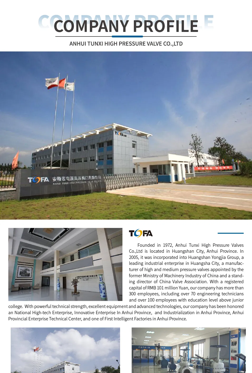 API ANSI DIN GB Standard Professional Industrial Valve Manufacturer Forged Steel DN25-50 300lb A105n/F304/F316L Globe Valve