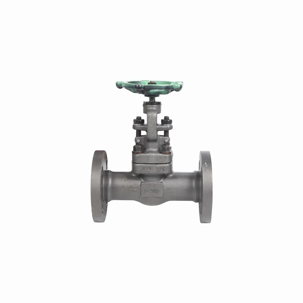 API ANSI DIN GB Standard Professional Industrial Valve Manufacturer Forged Steel DN25-50 300lb A105n/F304/F316L Globe Valve