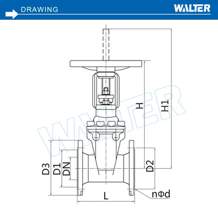 API Cast Iron/Ductile Iron Rising-Stem Wet System Gate Valves