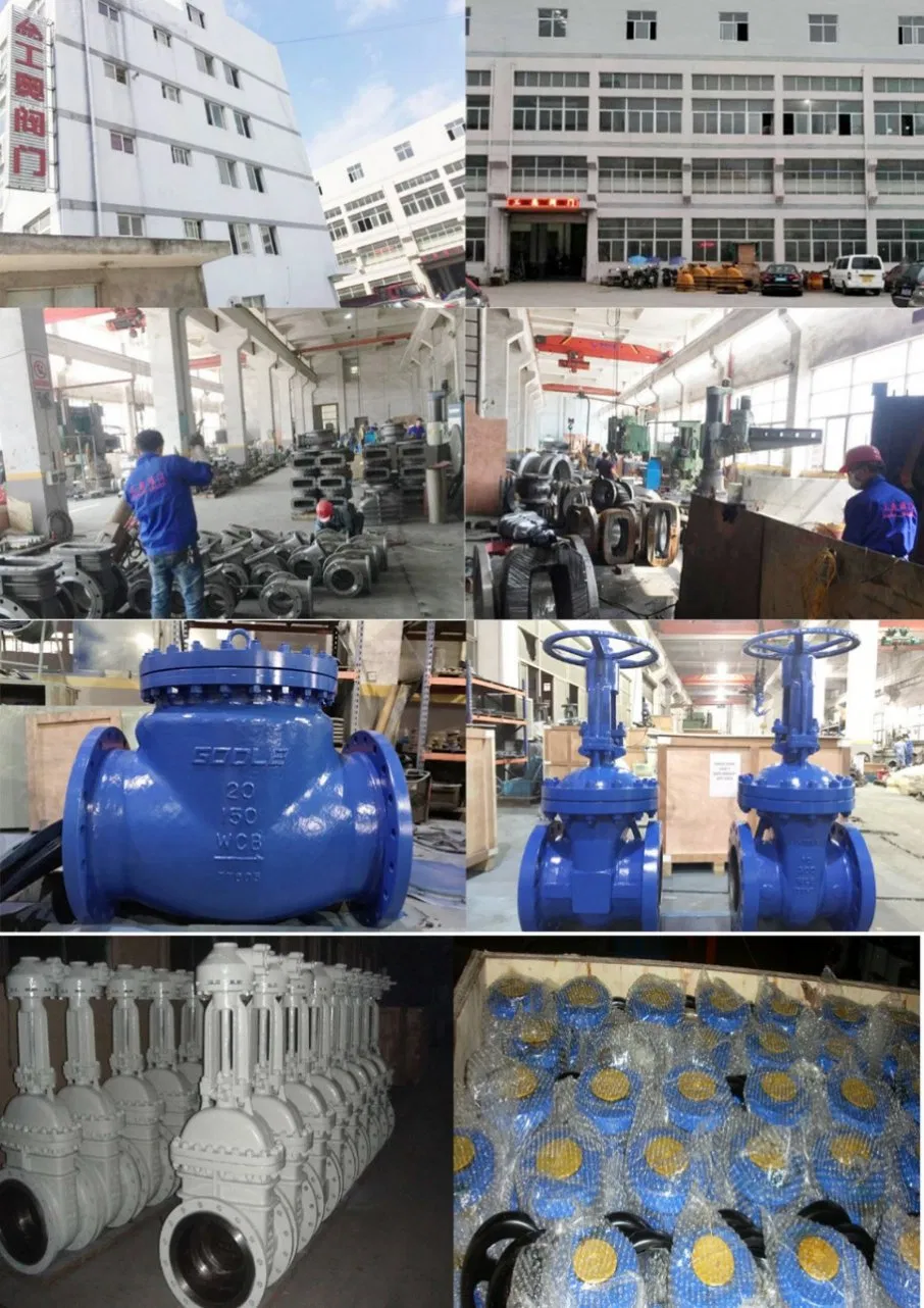 API /JIS //DIN Gate Valve /Globe Valve /Check Valve /Y Type Globe Valve/Globe Check Valve/Sdnr Valve