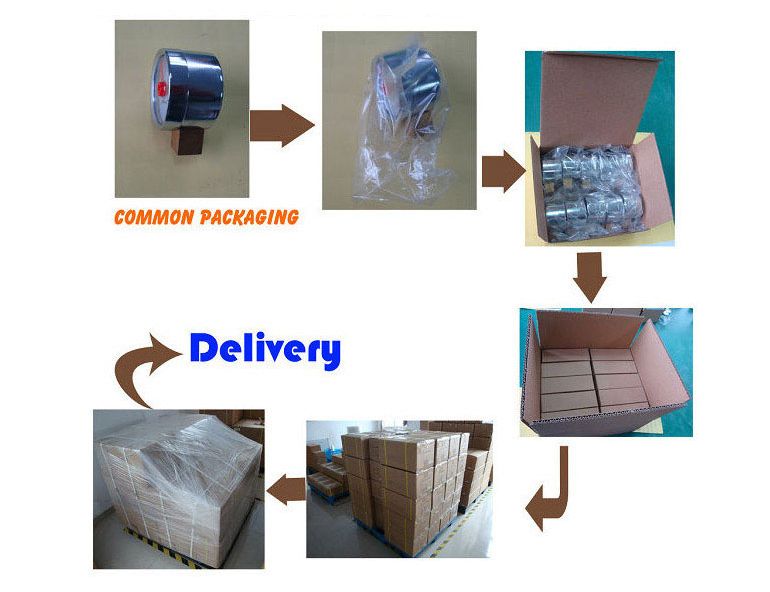 Ar N2 O2 Air Gas Regulator Chiyoda Seiki Ghn-3 Japan Type Style with Gas Economizer Adjustment Metering Valve with Ks 1MPa 10bar 25MPa 250bar 250kgf/Cm2