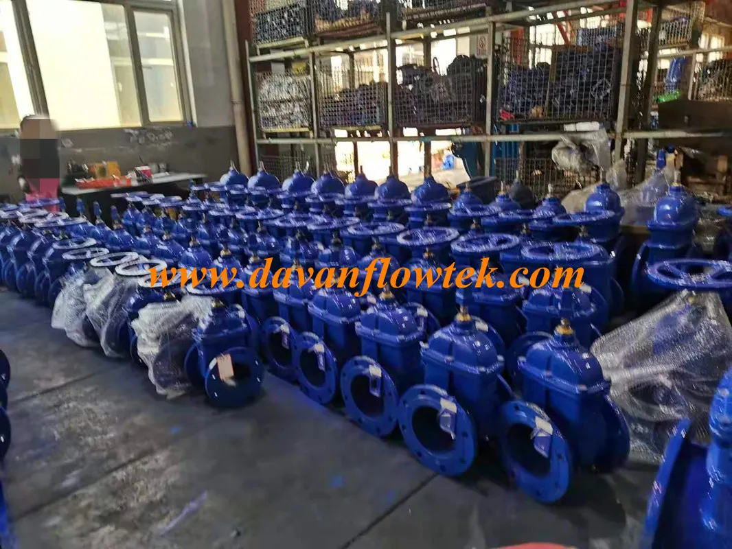 Bareshaft Gate Valve Ductile Iron Ggg50 Rubber Wedge Flanged DN250 Pn16 DIN Standard Factory Water Gate Valve