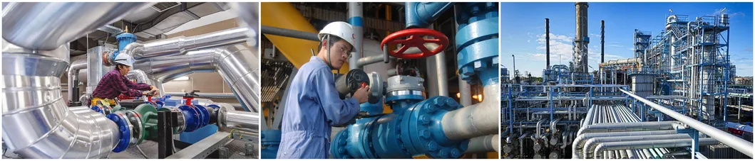 Brass Thread Industrial Full Bore Swing Check Valve for Gate Ball Water Oil Gas Water Pipe Fitting Auto Machine