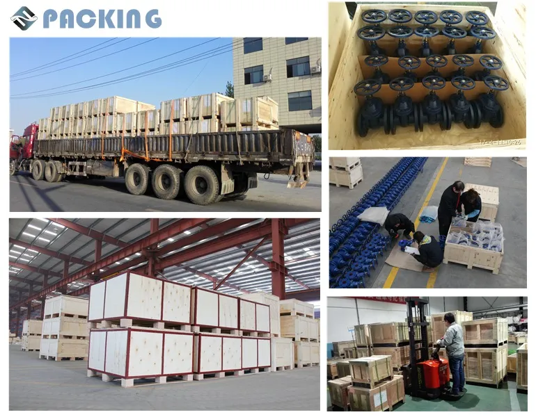 Brass Threaded Pressure Independent Control Valve for Fcu