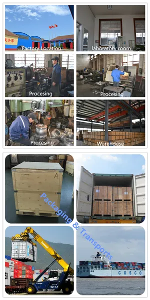 BS Standard Cast Iron Metal Steated Gate Valve