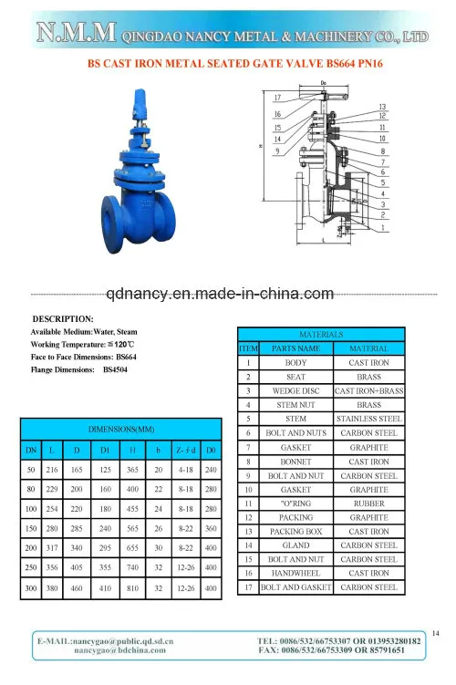 BS Standard Cast Iron Metal Steated Gate Valve