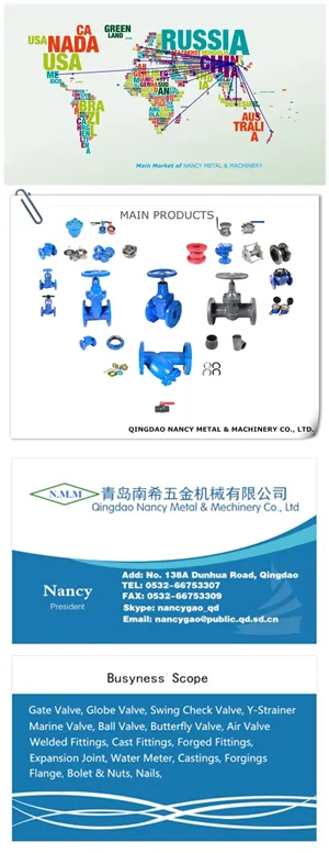 BS Standard Cast Iron Metal Steated Gate Valve
