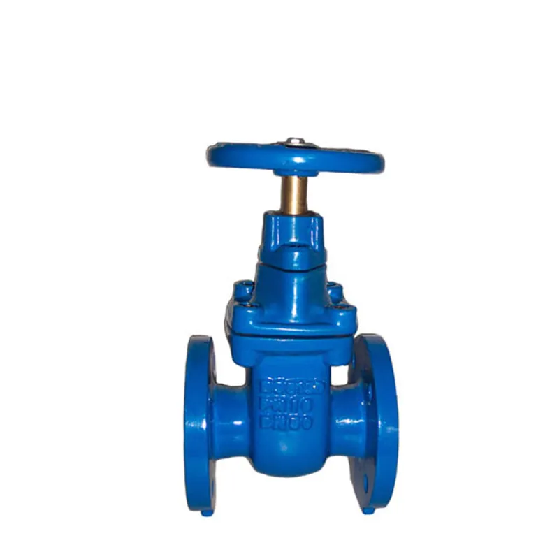 BS5150/BS5163 Iron Grooved/Flanged Gate Sluice Valve