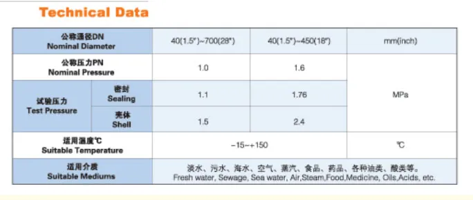 BS5153 Ductile Iron Wafer Check Valve