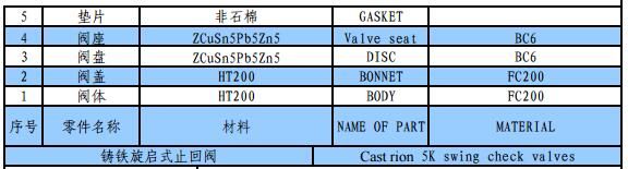 BS5153 Pn16 Cast Iron Swing Check Valve