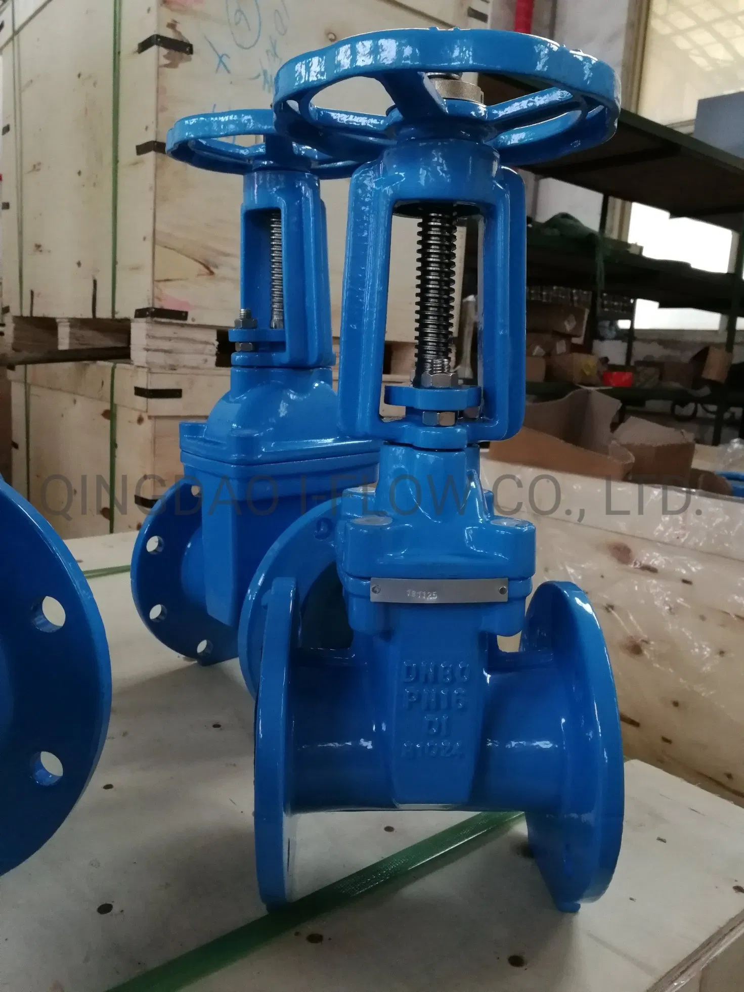 BS5163 DN100 Pn16 Di Rising Stem Resilient Soft Seated Gate Valve