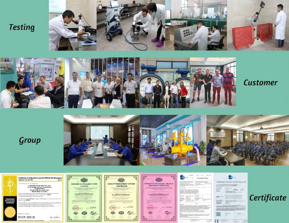 Bw 1/4" 1/2" 11/4" 1 1/2" 2" 800#1500#2500# CS Ss A105n F304 F316 F11 F22 F91 Fb Rb Forging Globe Valve