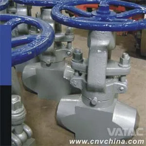 Cast & Forged Steel Globe Valve (J41)