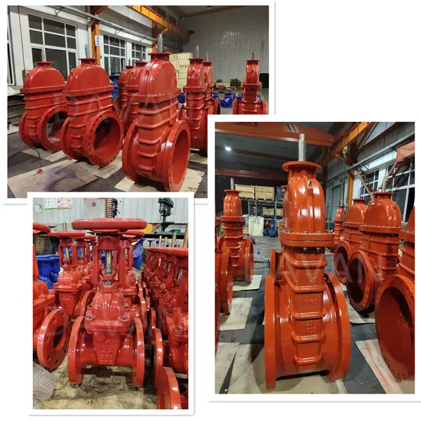 Cast Iron Flanged Rubber Resilient Seated F5 Gate Valve