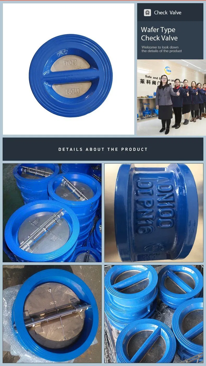 Cast Iron Non Reture Spring Wafer Type Gual Plate Di Flange Connection Sandwich Check Valve with Prices
