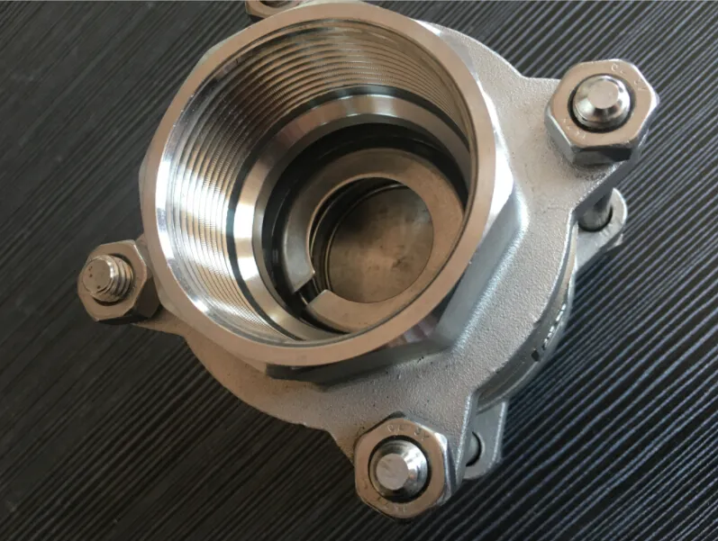 Cast Stainless Steel/Ss Spring Thread 3PC Check/Non Return Valve