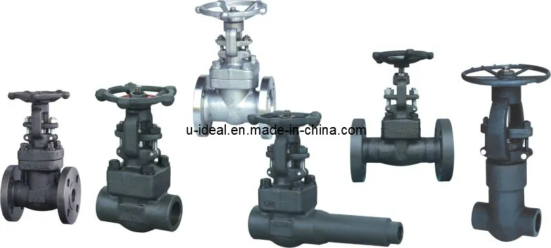 Cast Steel Stainless Steel Gate Valve